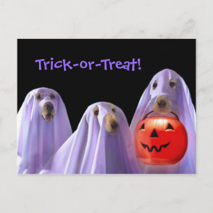 Trick-or-Treating Ghost Hund Halloween Postkarte