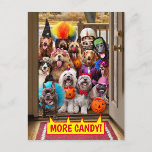 Trick-or-Treating Hunde Einladungspostkarte