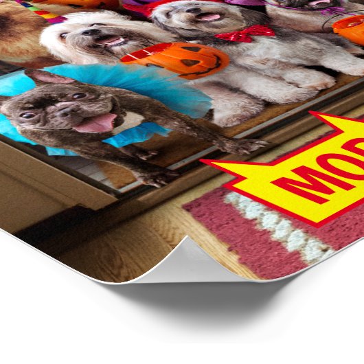 Trick-or-Treating Hunde Poster (Ecke)