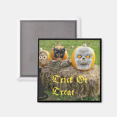 Trick or Tree Eerie Pumpkins on Haystack Magnet (Vorderseite/Rückseite)
