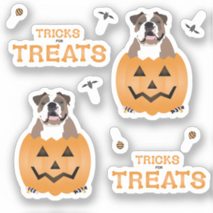 Tricks für Treats English Bulldog Orange Aufkleber