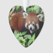 Tricksy Red Panda, individuell einstellbar Ornament (Vorderseite)