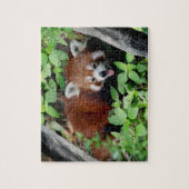 Tricksy Red Panda Puzzle (Vertikal)