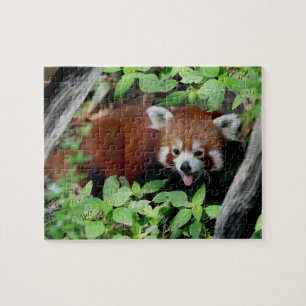 Tricksy roter Panda Puzzle