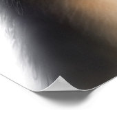 Tricolor Australian Shepherd Poster (Ecke)