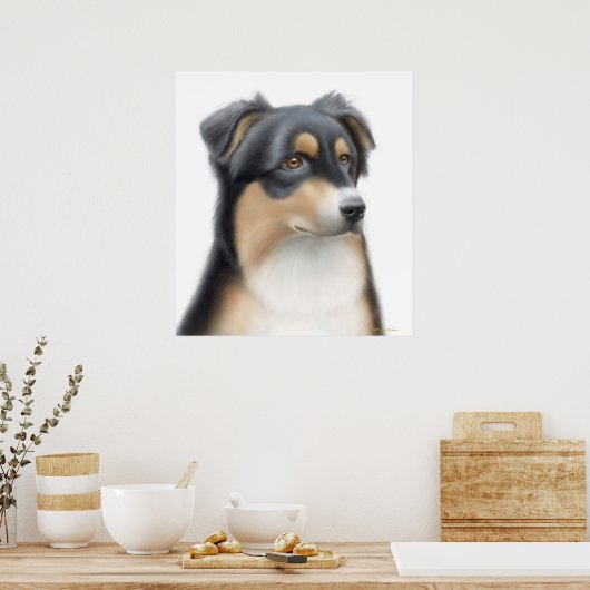 Tricolor Australian Shepherd Poster (Küche)