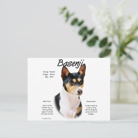 Tricolor Basenji Geschichte, Alles über Basenjis Postkarte (Stehend Vorderseite)