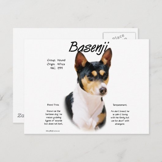 Tricolor Basenji Geschichte, Alles über Basenjis Postkarte (Vorne/Hinten)