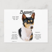 Tricolor Basenji Geschichte, Alles über Basenjis Postkarte (Vorderseite)