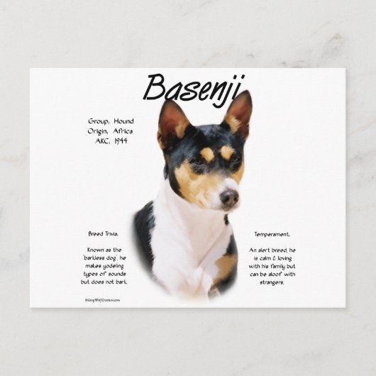 Tricolor Basenji Geschichte, Alles über Basenjis Postkarte (Vorderseite)
