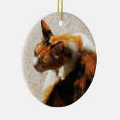 Tricolor Cat Ornament (Rechts)