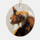 Tricolor Cat Ornament (Links)