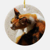 Tricolor Cat Ornament (Hinten)