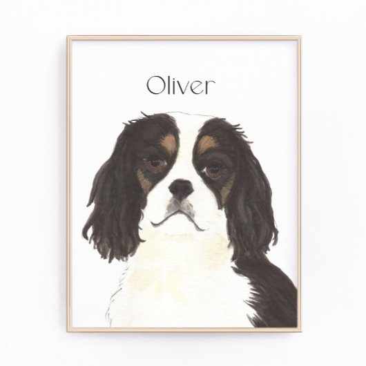 Tricolor Cavalier King Charles Spaniel Fotodruck