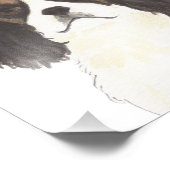 Tricolor Cavalier King Charles Spaniel Fotodruck (Ecke)