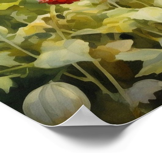 Tricolor Cavalier King Charles Spaniel Poster (Ecke)