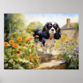 Tricolor Cavalier King Charles Spaniel Poster (Vorne)