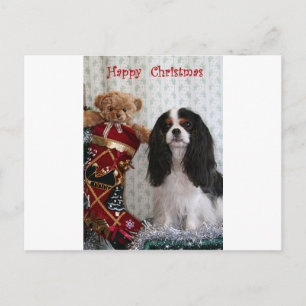 Tricolor Christmas Cavalier Feiertagspostkarte