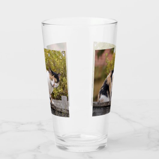 Tricolor Glas (Links)