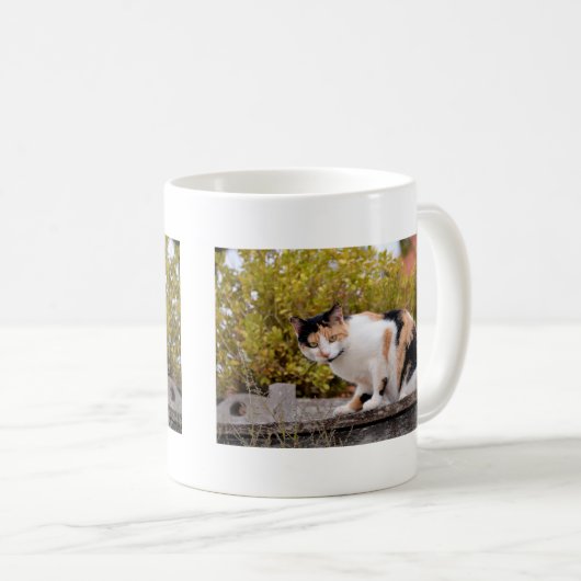 Tricolor Kaffeetasse (VorderseiteRechts)