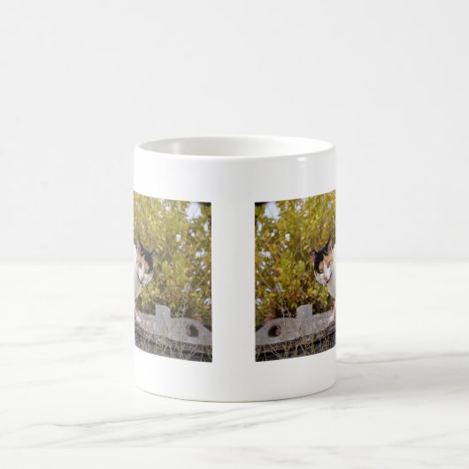 Tricolor Kaffeetasse (Mittel)