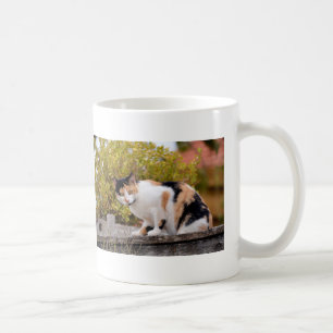 Tricolor Kaffeetasse