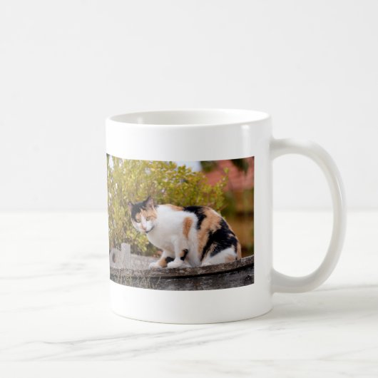 Tricolor Kaffeetasse (Rechts)