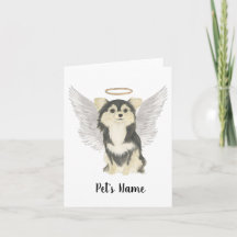 Tricolor Long Haired Chihuahua Beileid Memorial