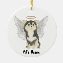 Tricolor Long Haired Chihuahua Beileid Memorial