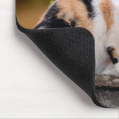 Tricolor Mousepad (Ecke)