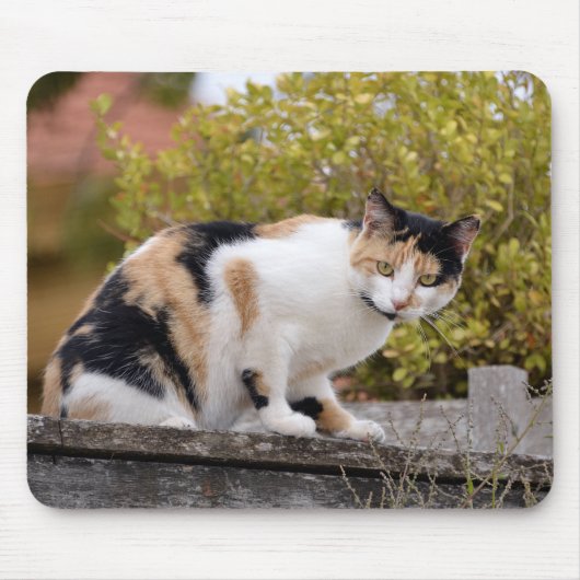 Tricolor Mousepad (Vorne)