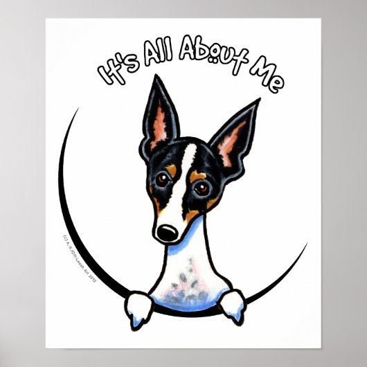 Tricolor Rat Terrier IAAM Poster (Vorne)