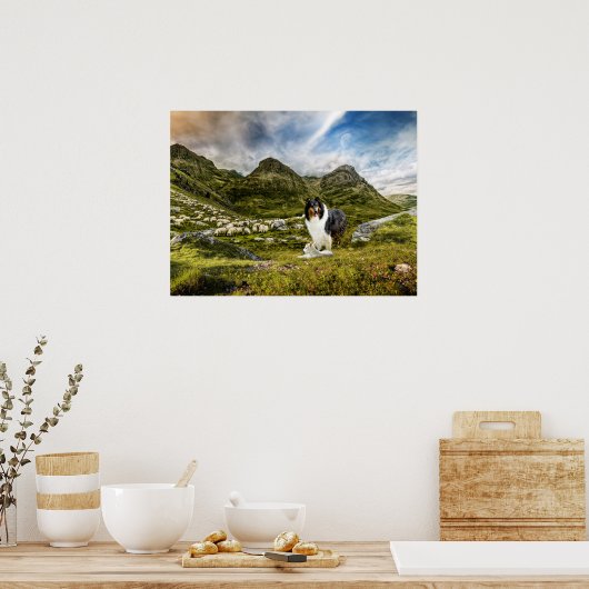 Tricolor Scotch Collie mit Lamm-Herdenschaf - Poster (Küche)