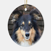 Tricolor Sheltie face Keramikornament (Links)
