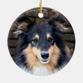 Tricolor Sheltie face Keramikornament (Hinten)