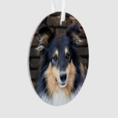 Tricolor Sheltie face Ornament (Vorderseite)