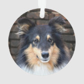 Tricolor Sheltie face Ornament (Rückseite)