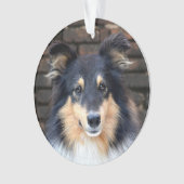 Tricolor Sheltie face Ornament (Vorderseite)