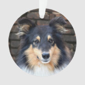 Tricolor Sheltie face Ornament (Vorderseite)