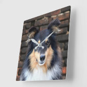 Tricolor Sheltie face Quadratische Wanduhr (Winkel)