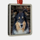 Tricolor Sheltie face Silbernes Ornament (Rechts)