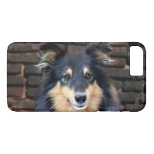 Tricolor Sheltie stellen gegenüber Case-Mate iPhone Hülle