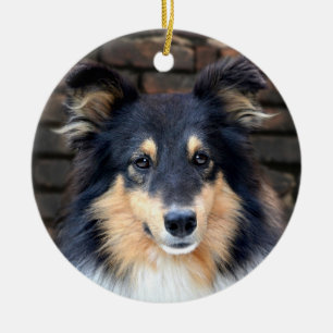 Tricolor Sheltie stellen gegenüber Keramikornament