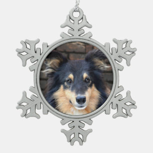 Tricolor Sheltie stellen gegenüber Schneeflocken Zinn-Ornament