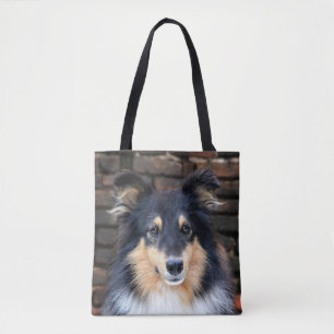 Tricolor Sheltie stellen gegenüber Tasche