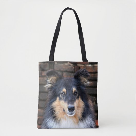 Tricolor Sheltie stellen gegenüber Tasche (Vorderseite)