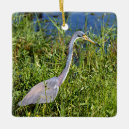 Tricolored Heron Wading In The Marsh Keramikornament