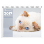 Trident 2017 der Katzen-Kalender Kalender (Titelbild)