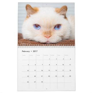 Trident 2017 der Katzen-Kalender Kalender