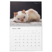 Trident 2017 der Katzen-Kalender Kalender (Jan 2027)
